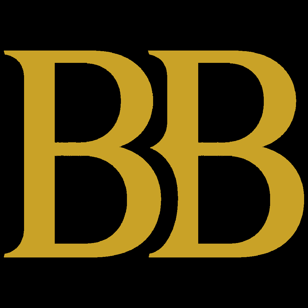 BitssyBytes logo